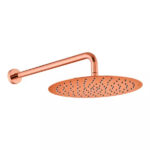 300MM ROUND SHOWER WITH ARM -RG
